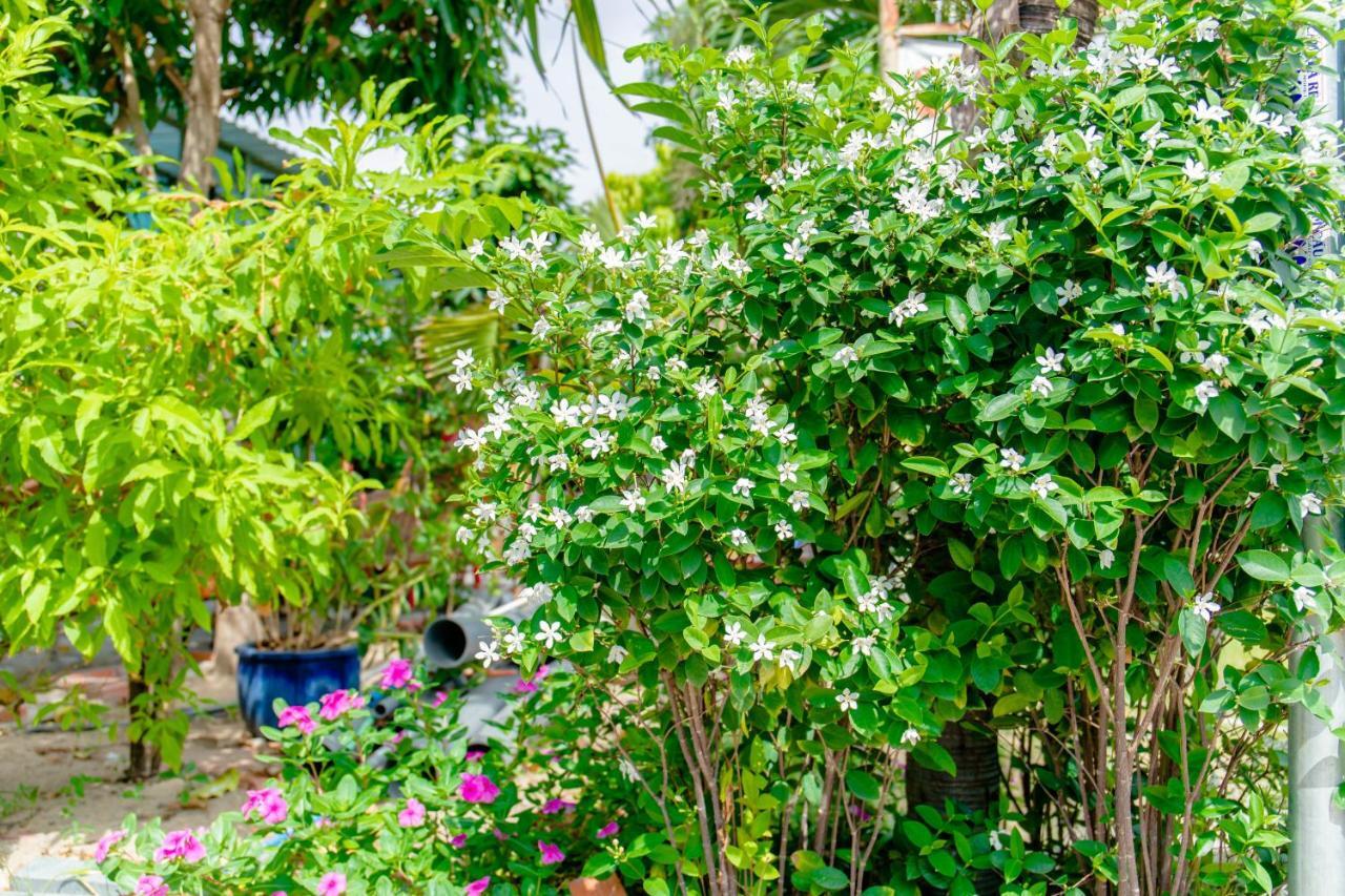 Song Huong Hotel Mui Ne Exterior foto